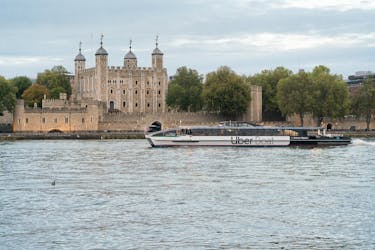 Tour di un giorno di Greenwich e Torre di Londra con giro in Uber Boat